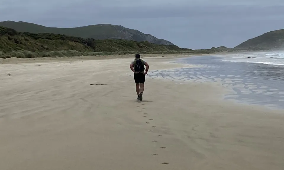 Sandhills, Cannibals & Sea-Lions, Otago