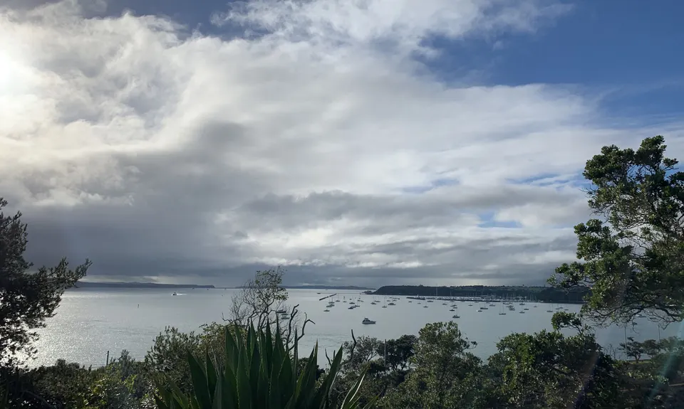Hobson Bay Loopity, Auckland