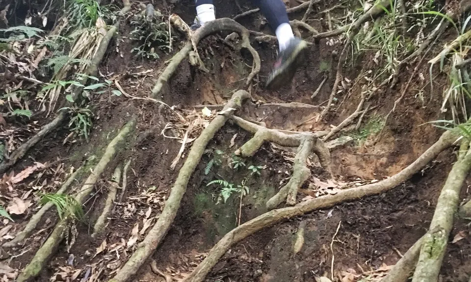 Te Aroha Summit Loop, Waikato