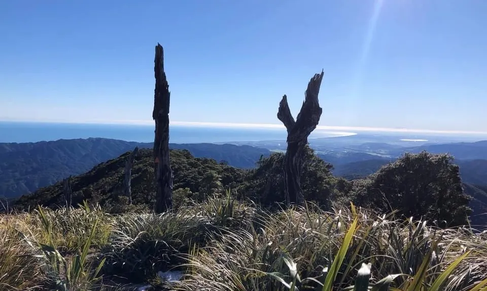 Kapakapanui Loop, Wellington