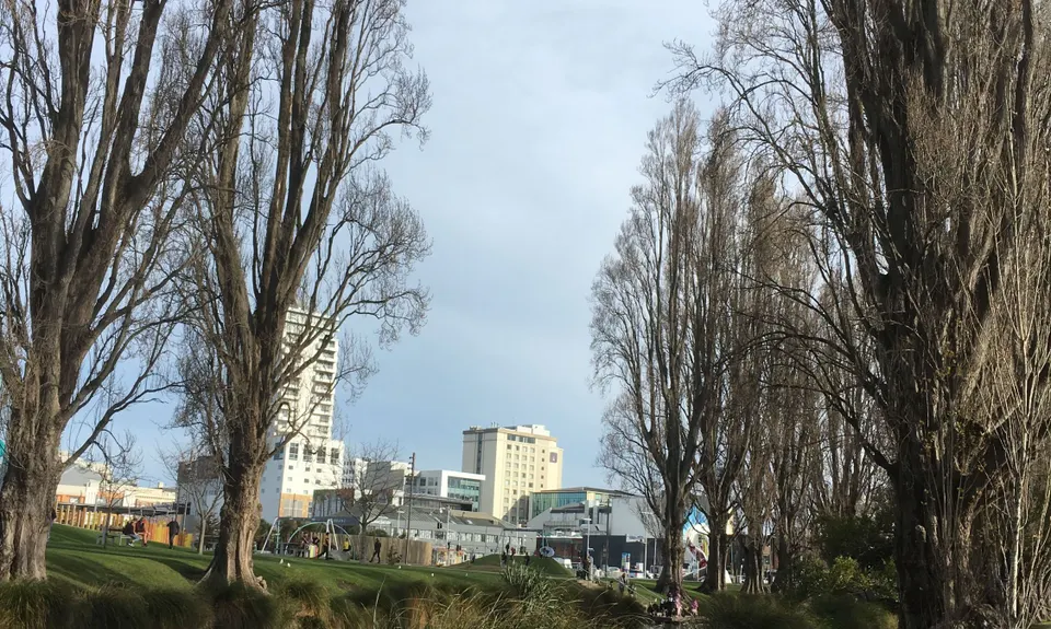 Avon City Loops, Canterbury