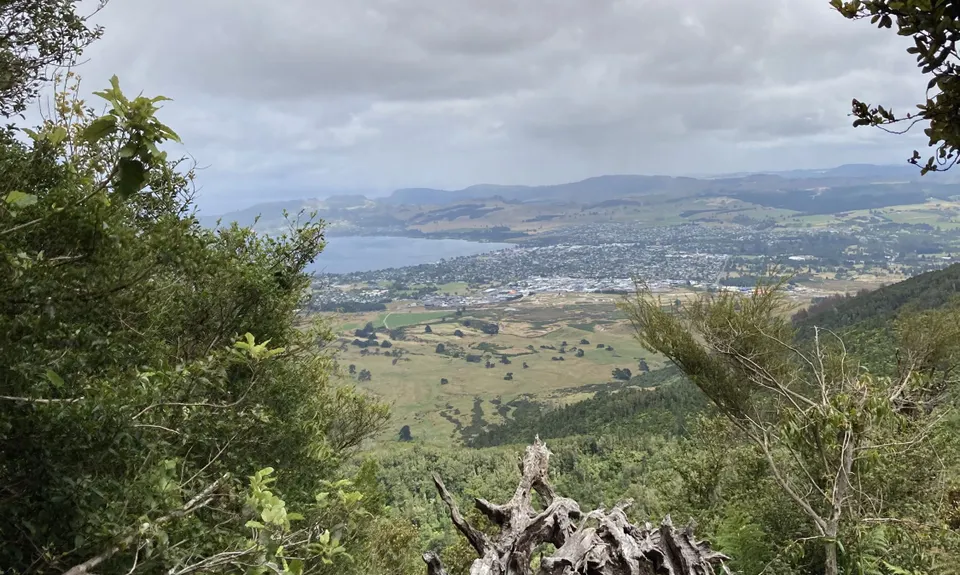 Tauhara Grunt, Waikato
