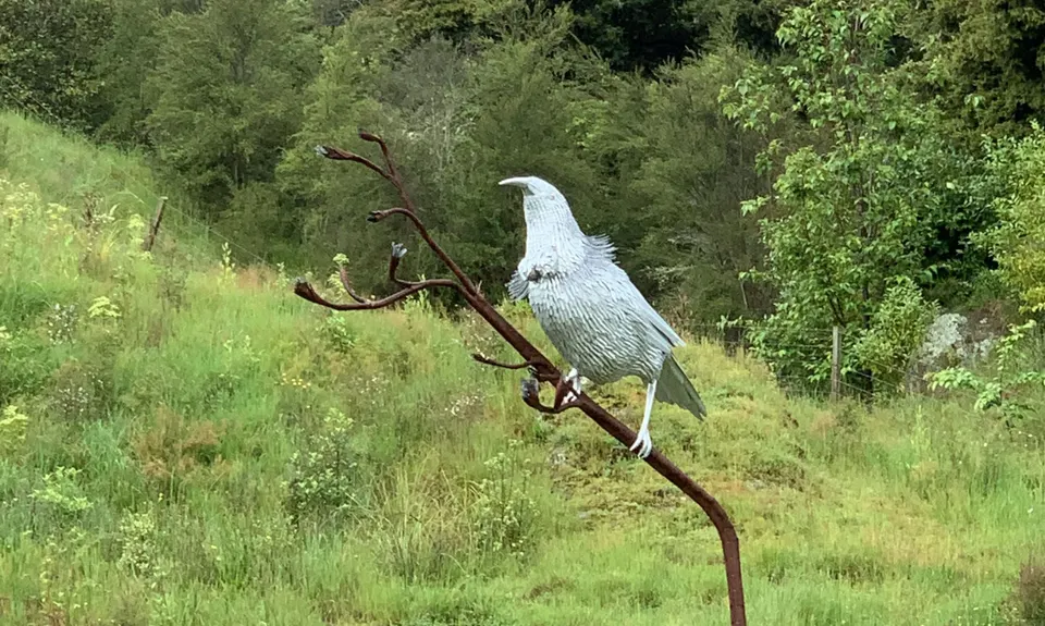 Little Waipa to Arapuni, Waikato