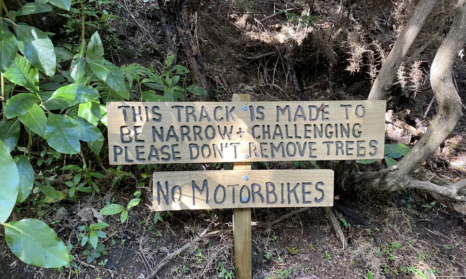 Waddington Loop of Wander, Wellington