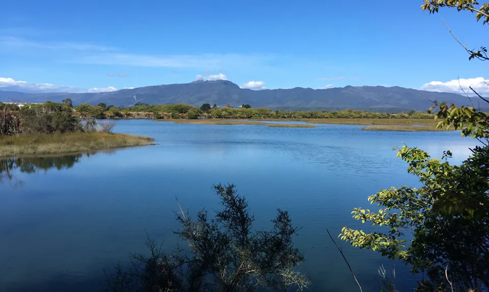 Kawatiri River Trails, West Coast