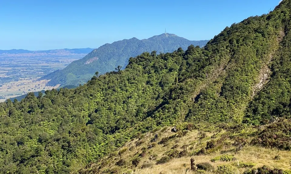 Kaimai Ridgeway, Waikato