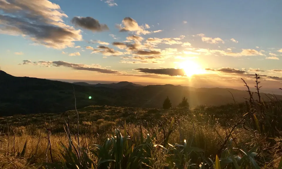 Ross, Pineapple, Frasers loop, Otago