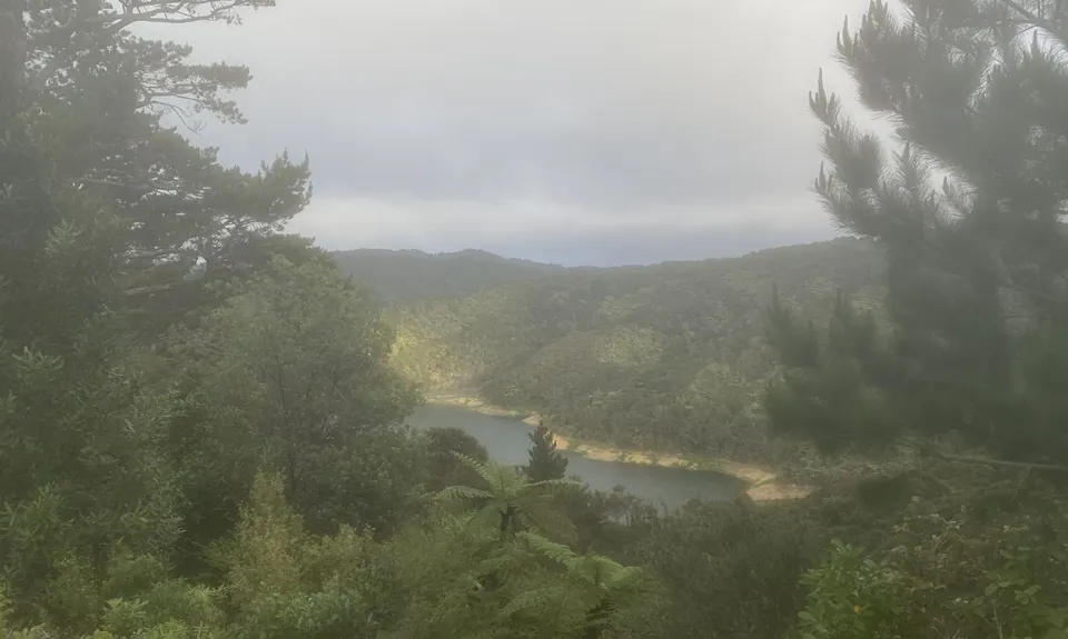Rata Ridge - Hunua, Auckland