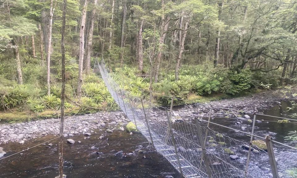 Catlins River Track, Otago