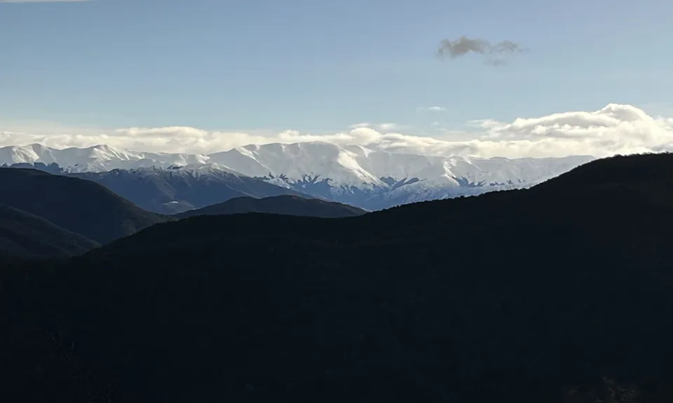 Mt Thomas Direct!, Canterbury