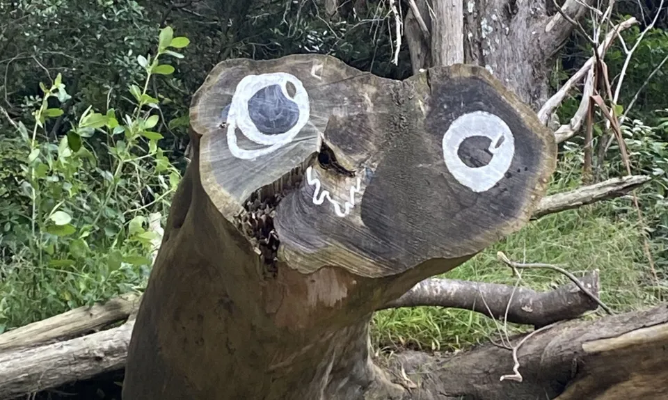 Matairangi Loop, Wellington
