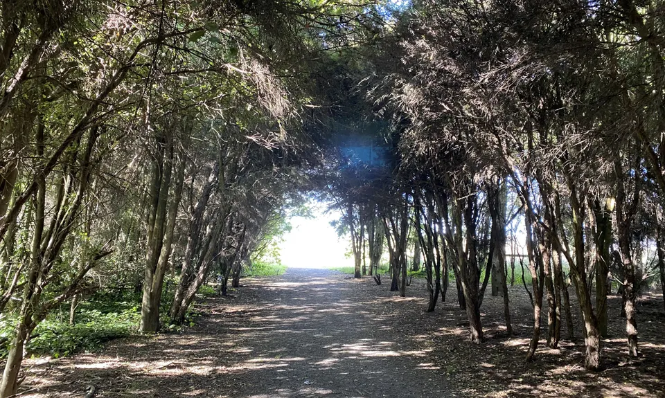 Canterbury Agricultural Park Loop, Canterbury