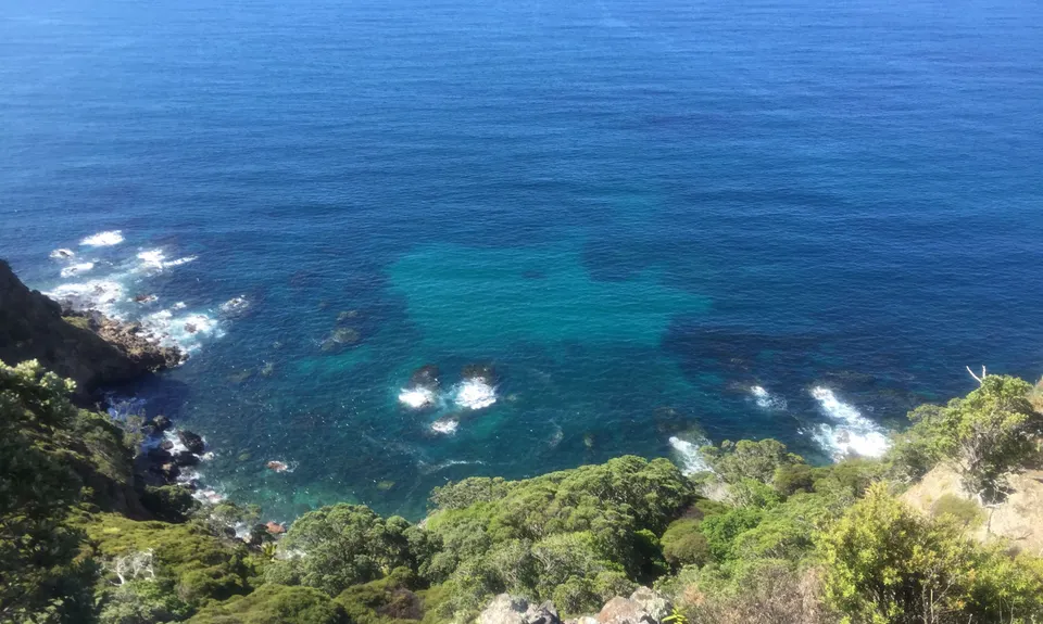 Harataonga Coastal Walkway, Auckland