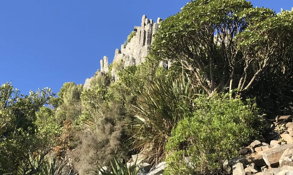 Mt Cargill and Organ Pipes, Otago
