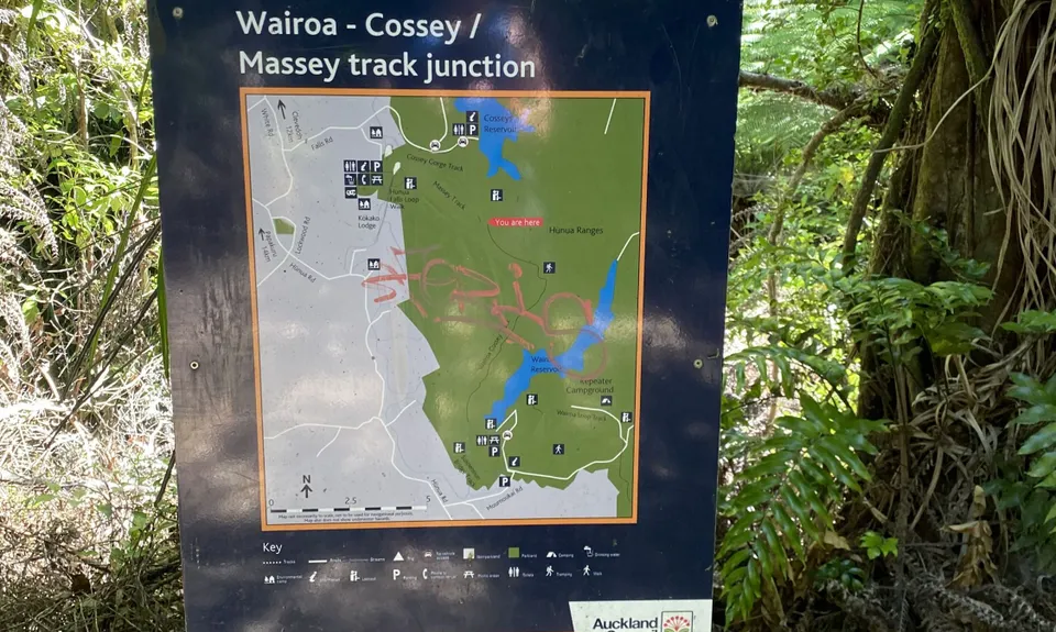 Hunua Falls - Cossey Massey Loop, Auckland