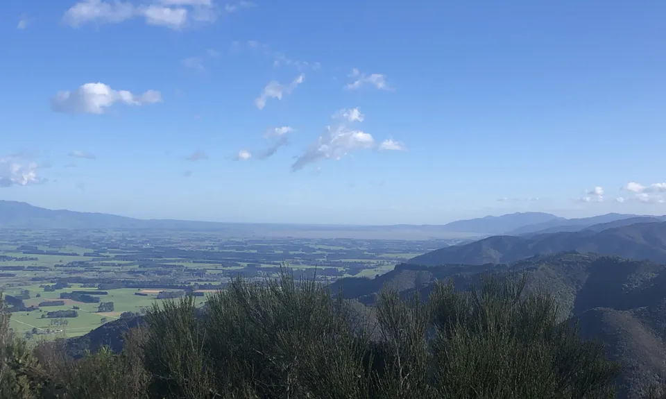 Mt Dick Loop, Wellington