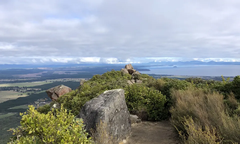 Tauhara Grunt, Waikato