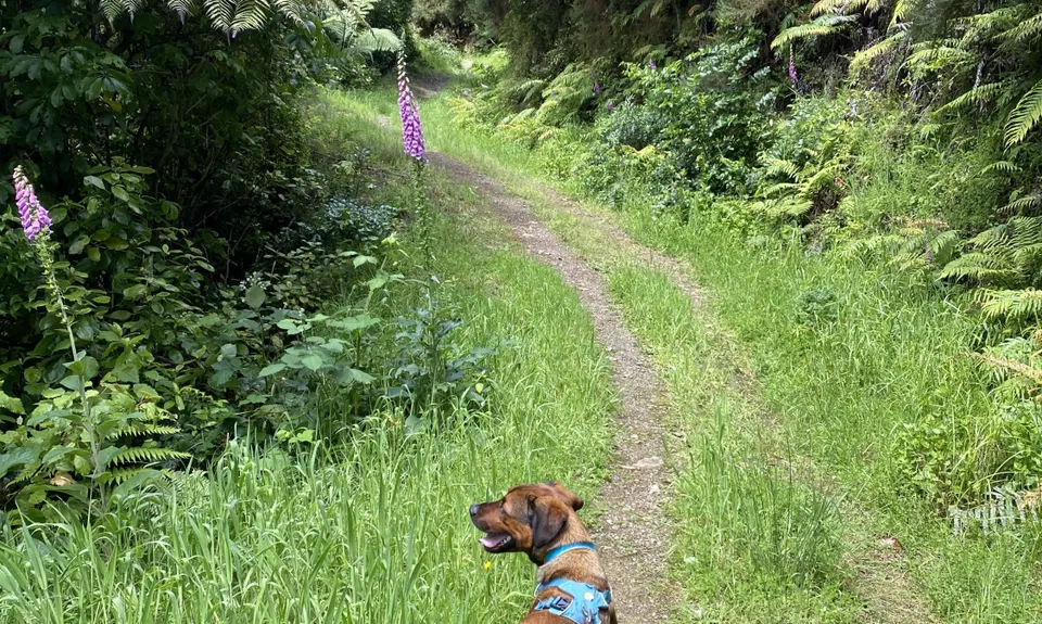 Wainuiomata Recreation Area, Wellington