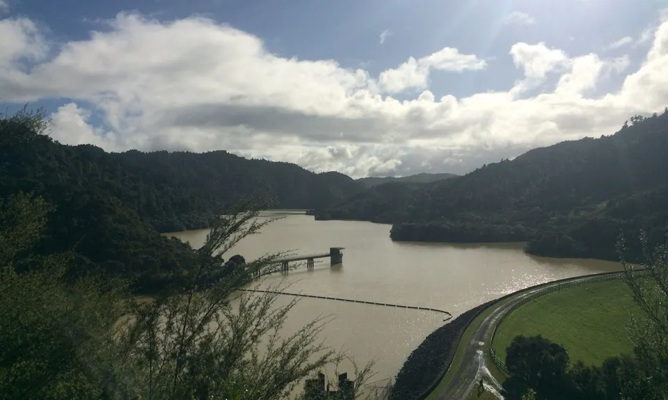 Suspension Bridge Track , Auckland