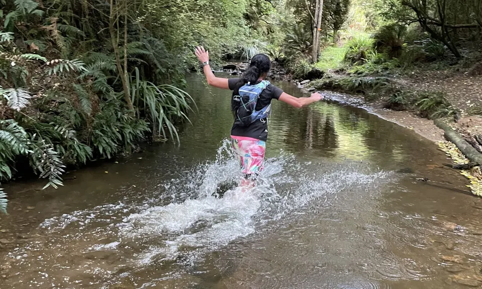Evansdale Glen loop, Otago