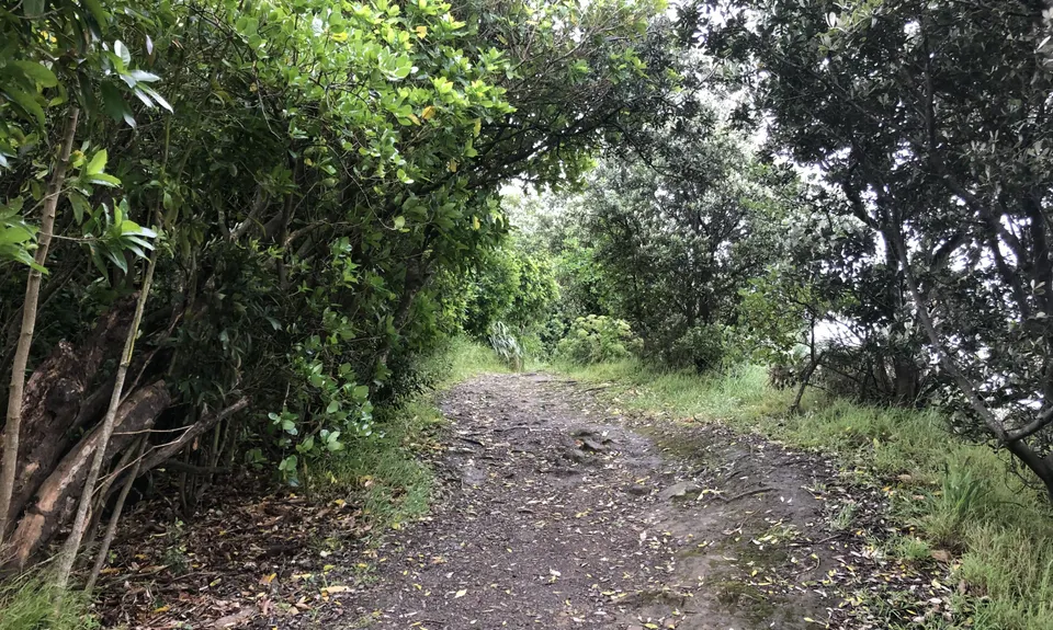Ataturk to Pass Of Branda Loop, Wellington