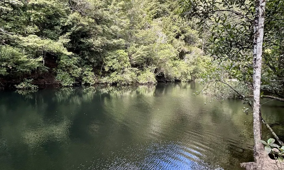 Dam Dam, Marlborough