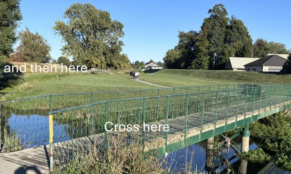Dam, River and Vines, Marlborough