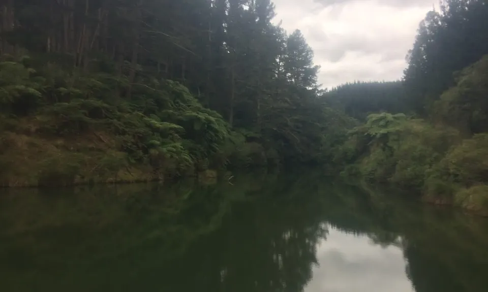 Waitahinga Dam Loop, Manawatu - Wanganui