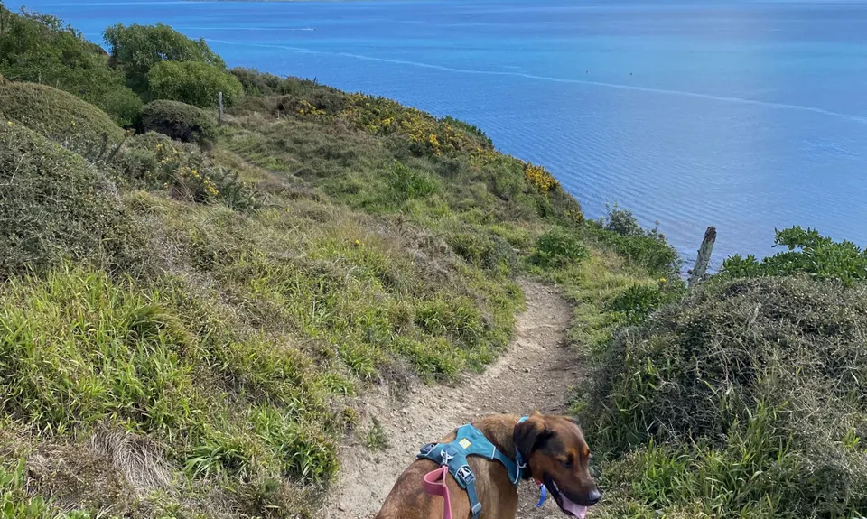 Whitireia and Titahi Bay Cliffs, Wellington