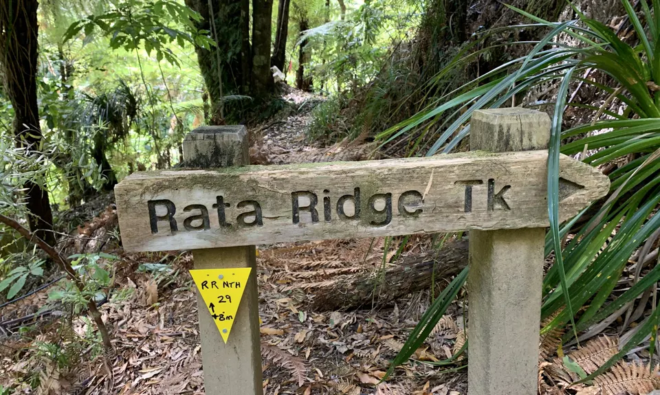 Hunua Magic, Auckland