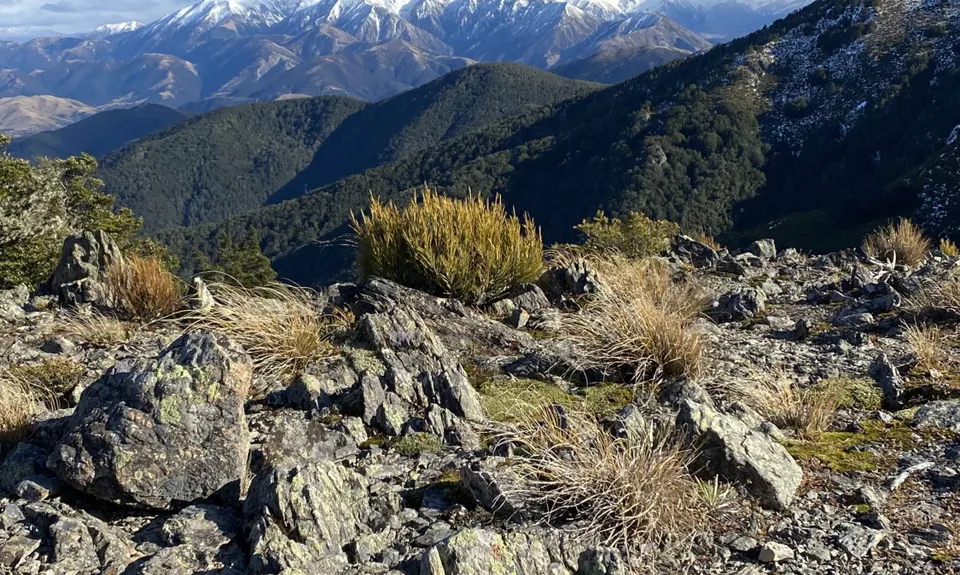 Mount Oxford Summit Scramble, Canterbury