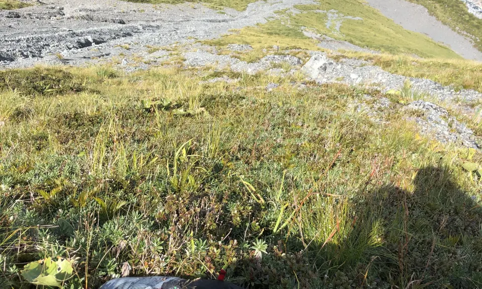 Browning Pass - Southern Alps Crossing, Canterbury