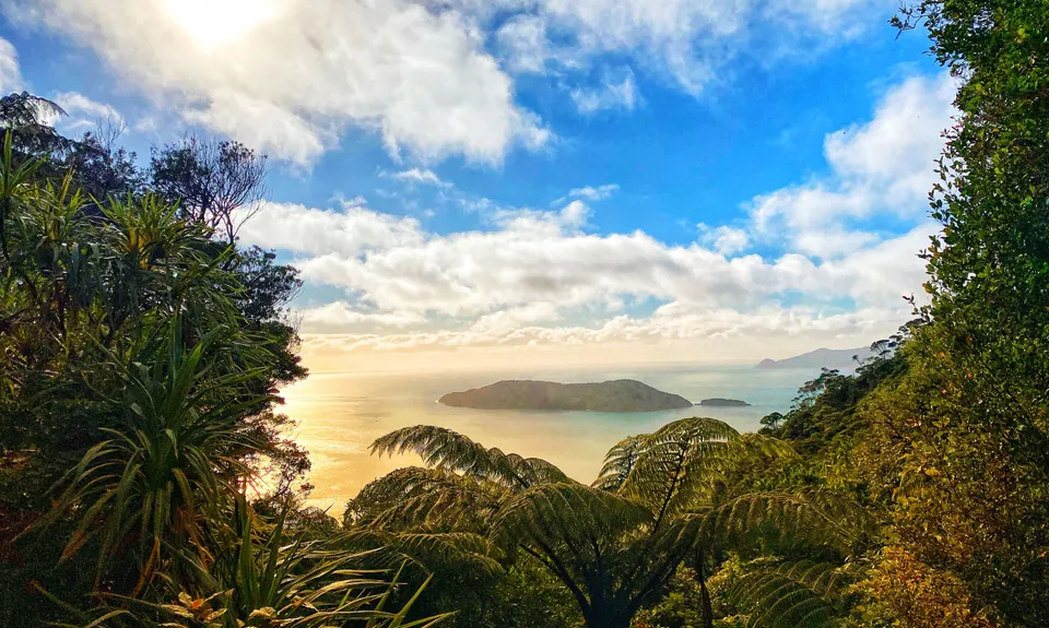 Cove to Cove , Marlborough