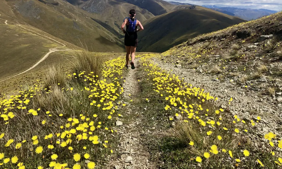 Omarama Saddle (Broken Hut Road Entry), Otago