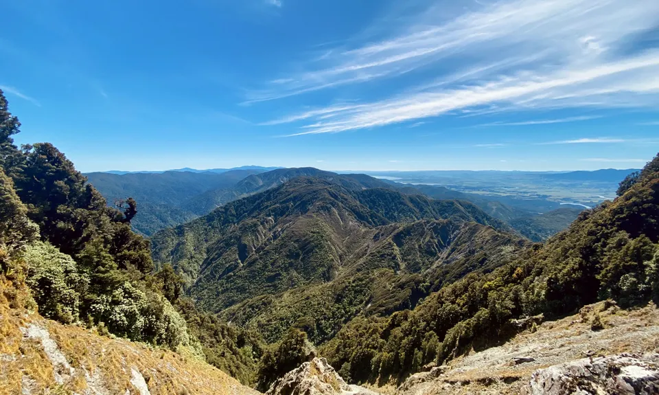 Mt Matthews, Wellington