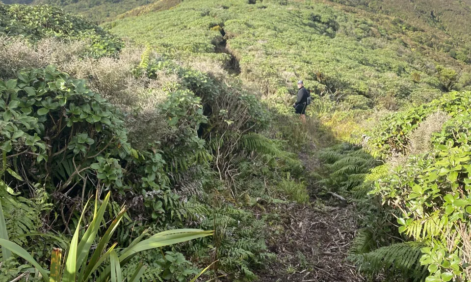 Arawaru Trig Loop, Manawatu - Wanganui