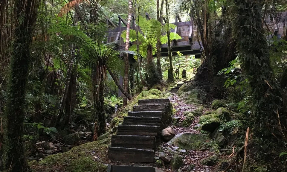Kaniere Water Race, West Coast