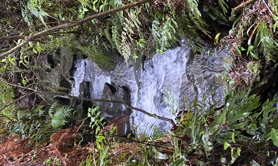 Tupapakurua Falls, Manawatu - Wanganui