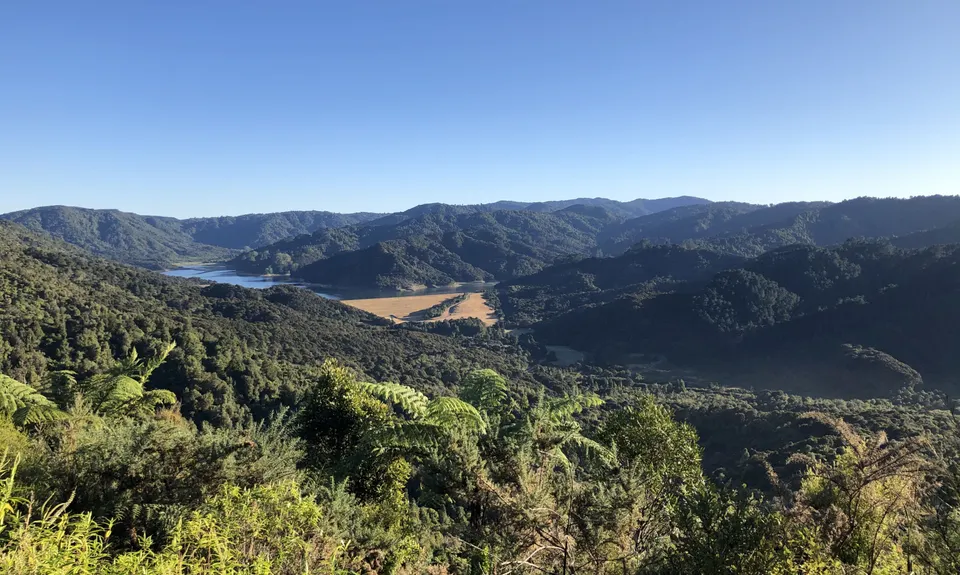 Challenge / Ernies Loop, Auckland