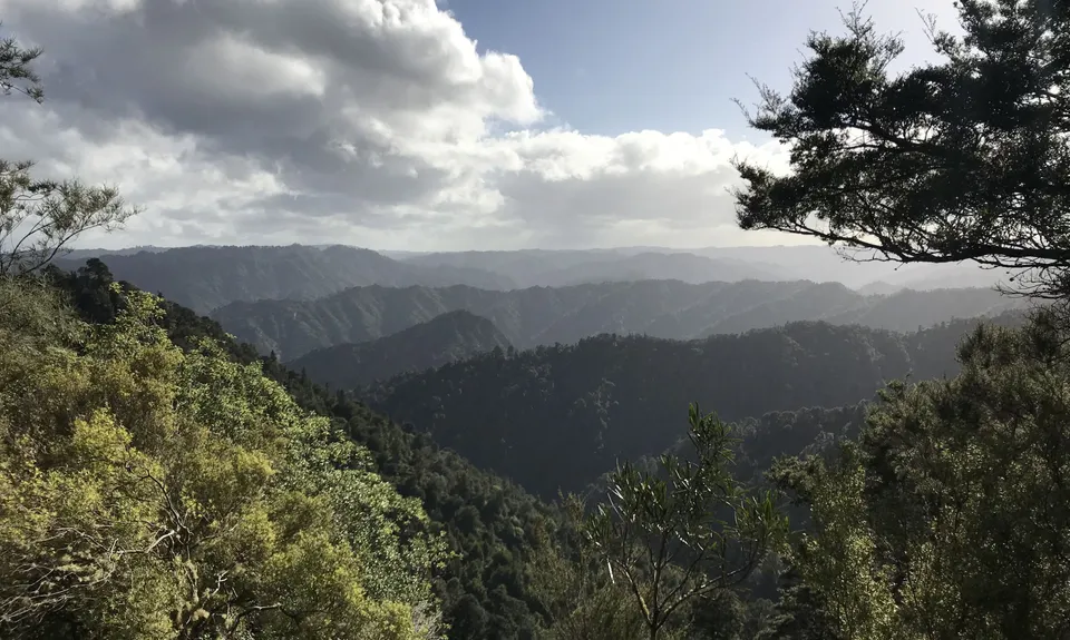 Atene Skyline Track, Manawatu - Wanganui