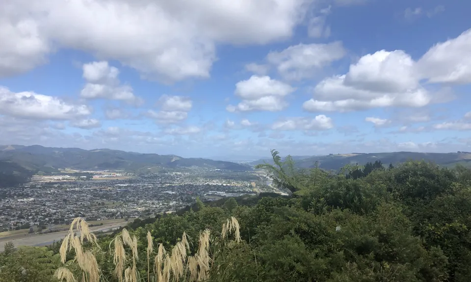 Cannon Point Trig via Zig Zag, Wellington