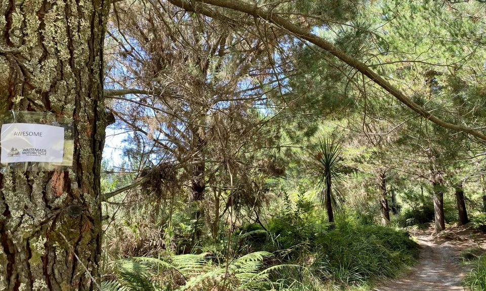 Anzac Loop, Auckland