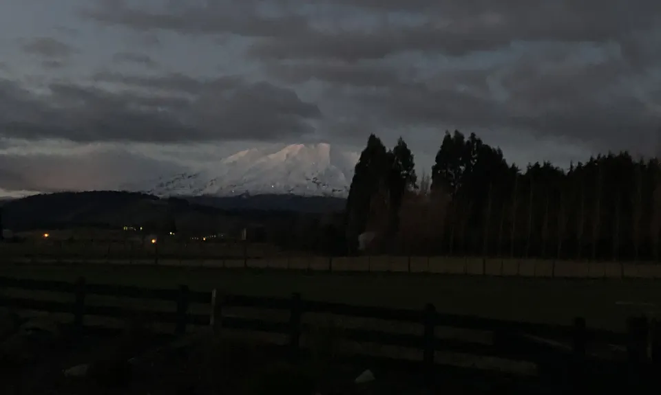 Ohakune Town/Forest Loop, Manawatu - Wanganui