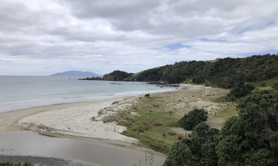 Tawharanui Loops, Auckland
