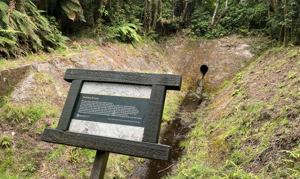 York Trail Wet Foot, Taranaki