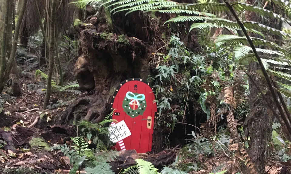 Mores Reserve Loop, Southland