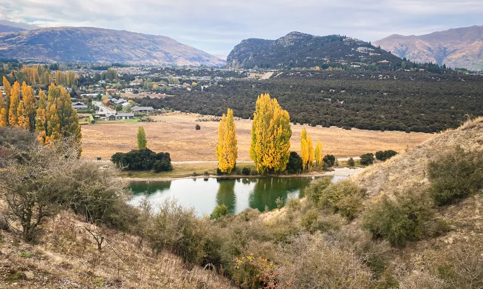Deans Bank Loop, Otago