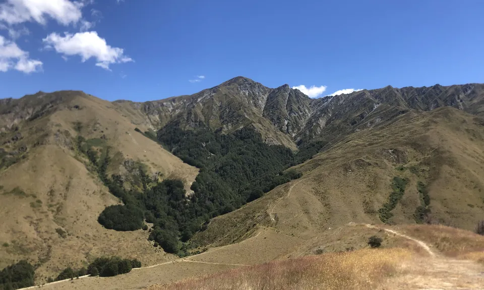 Sawpit Gully - German Hill, Otago