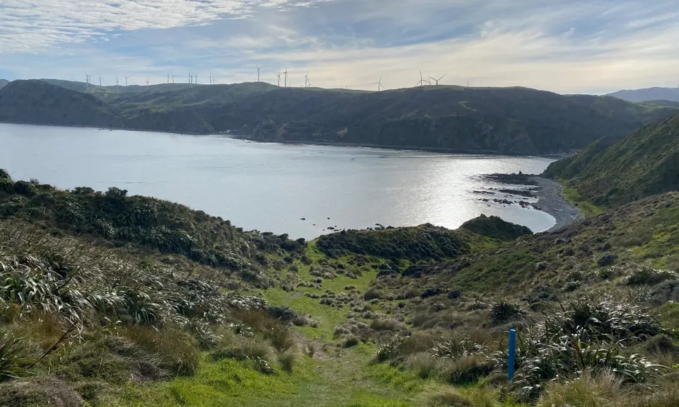 Makara Walkway, Wellington
