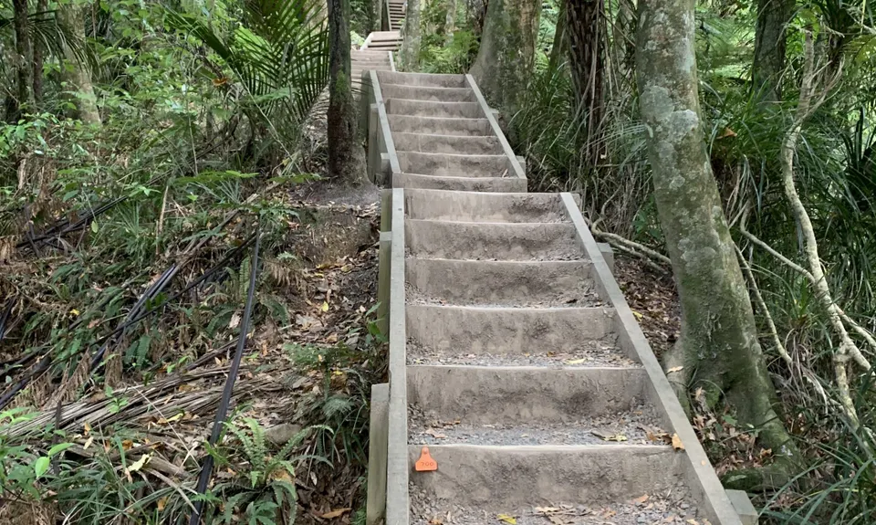 Hilly Hakarimata, Waikato